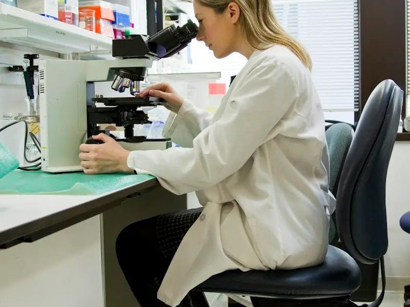 ISO 17025 Laboratory Testing and Gummy Quality Assurance Inspection